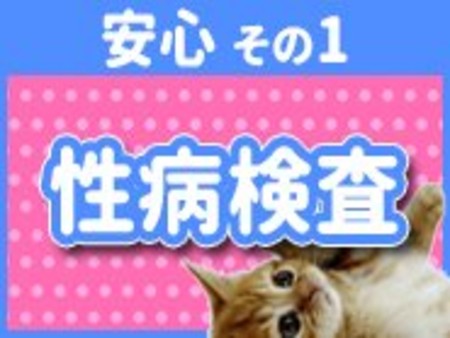 ◆◆◆◆安心:その1◆◆◆◆