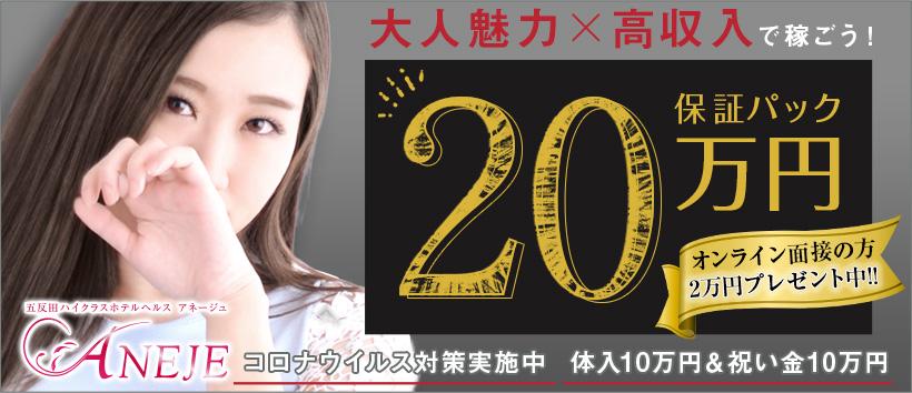 五反田アネージュ