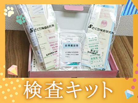 いつでも検査可能☆