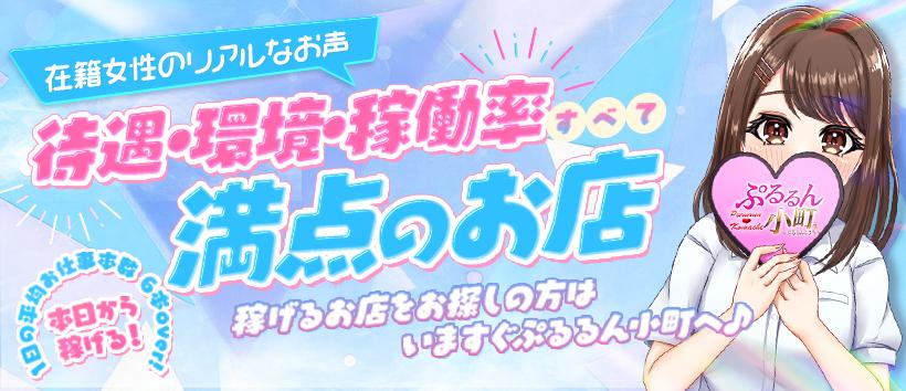 ぷるるん小町日本橋店の求人