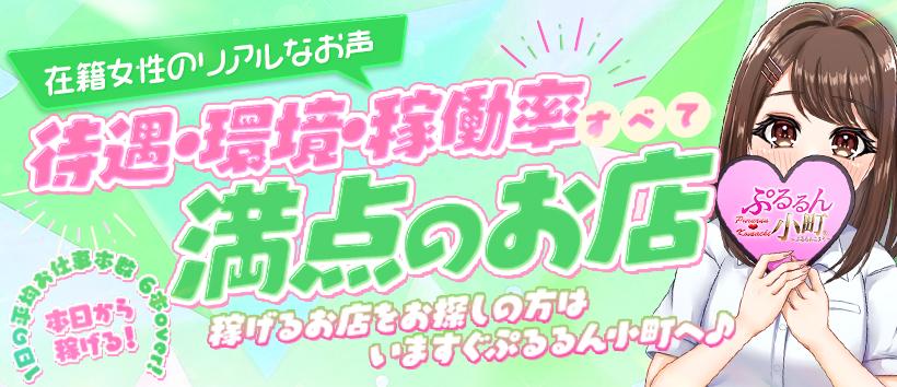ぷるるん小町京橋店の求人