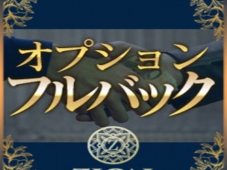 オプションフルバックです。