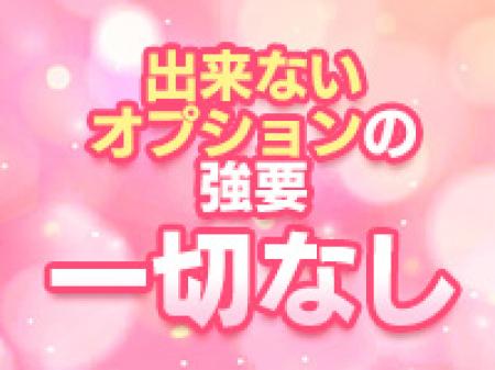 オプションの強要一切なし！