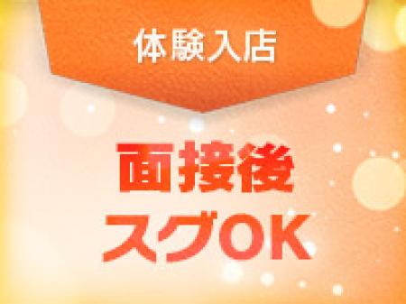 未経験大歓迎です。ご不安はすべて解消します!