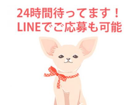 24時間待ってます