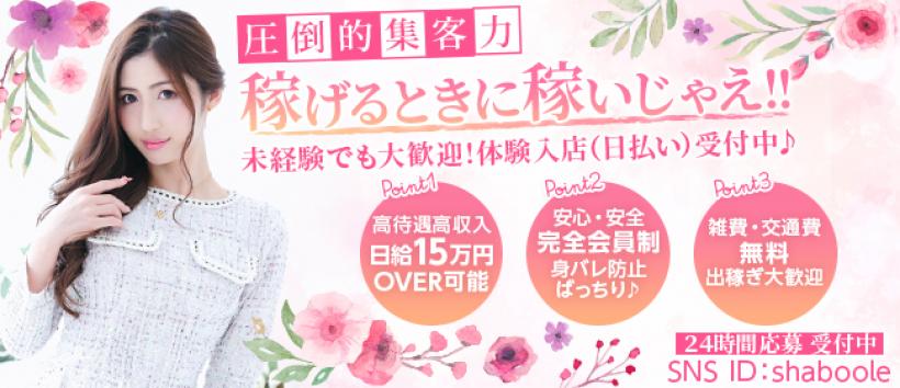 shabooleの求人