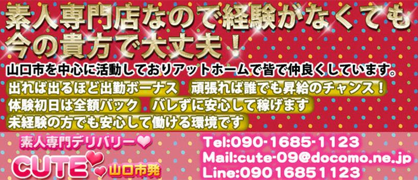 キュートの求人