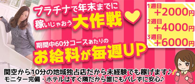 プラチナの求人