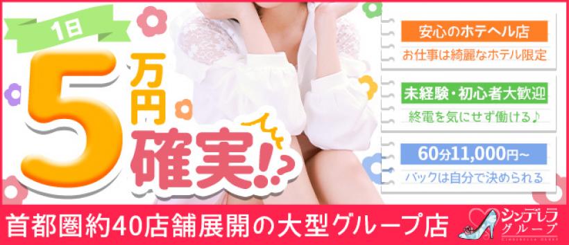 新宿シンデレラ(シンデレラグループ)の求人