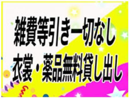 おしゃれなドレス着用でのお仕事です。