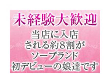 未経験大歓迎!