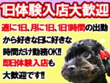 ★1度来てから決めて下さい!★