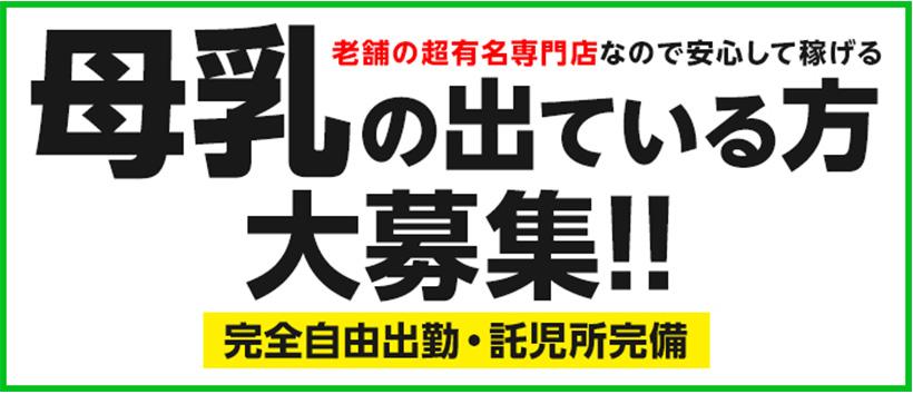 妊婦・母乳専門店 ミルクランドの求人