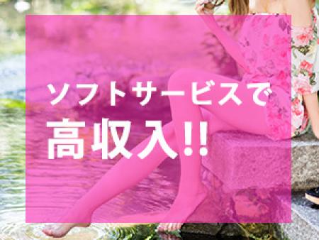 ソフトサービスで高収入!