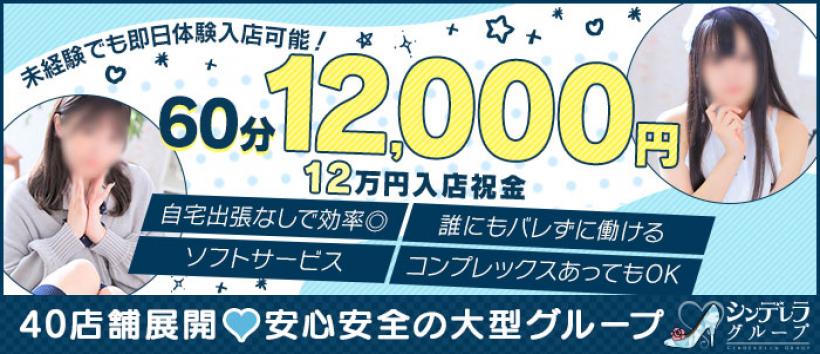 西川口コスプレメイド学園(シンデレラグループ)の求人