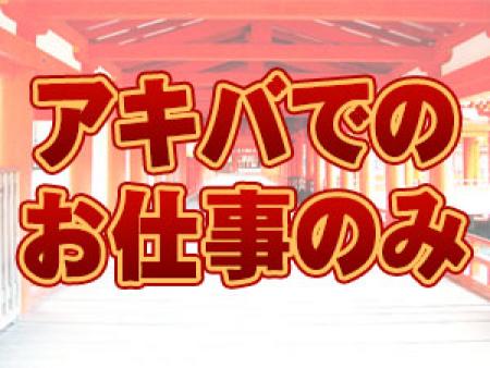 お仕事はアキバのみ