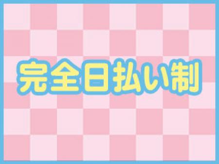完全日払い制