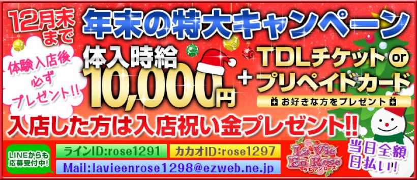 ラビアンローズの求人