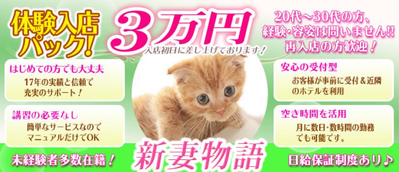 新妻物語