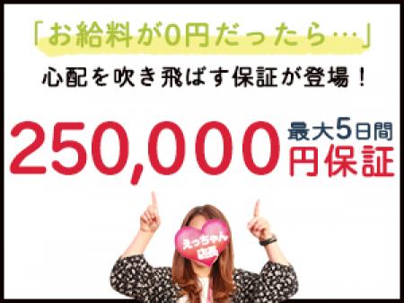 安心の保証もご用意しています!