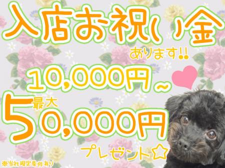 入店祝い金~今だけ~
