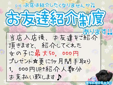 お友達紹介制度~今だけ~