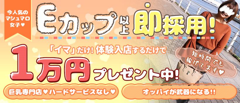 パンチラボイン横浜