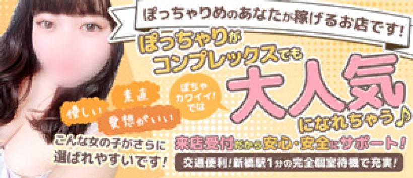 新橋ぽちゃカワイイ!の求人