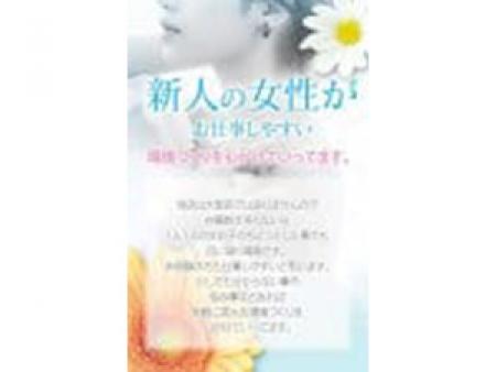 新人の女性がお仕事しやすい
