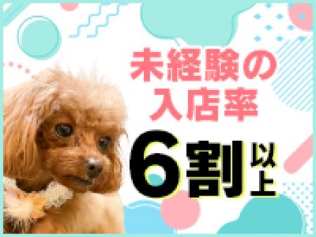 未経験の方大歓迎!