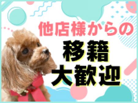 移籍の方大歓迎!