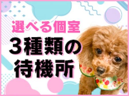 完全個室の選べる待機所!
