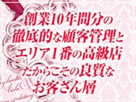 良質なお客さん層