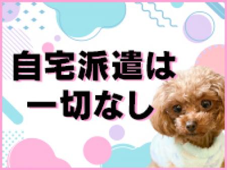 自宅派遣一切なし!