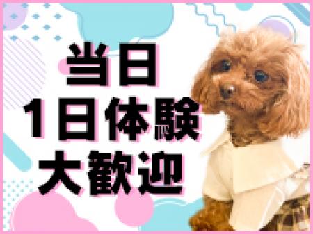 良質なお客さん層