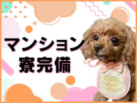 1Rのマンション寮完備!