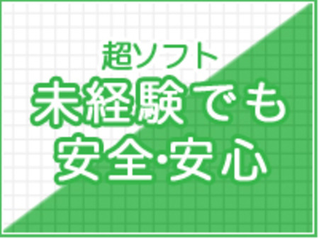 ソフトサービス専門!