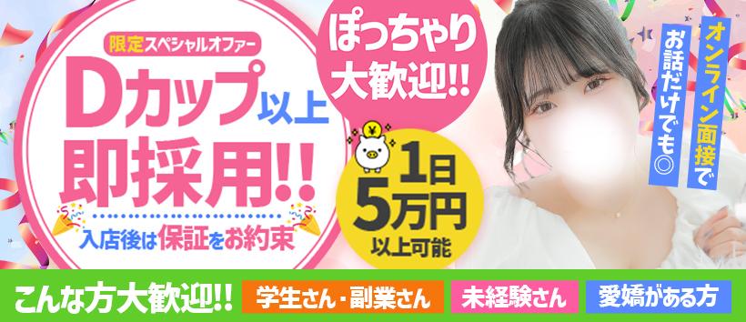 白い巨乳の求人