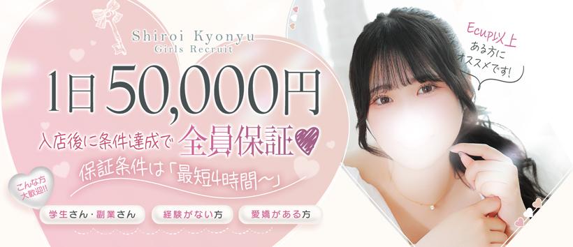 白い巨乳の求人