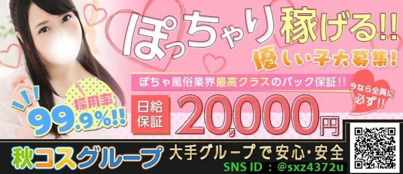 白いぽっちゃりさん