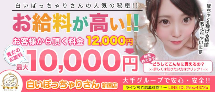 白いぽっちゃりさん新宿店