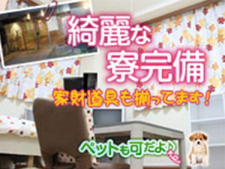 高級マンション寮!