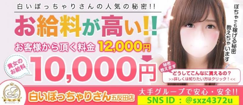 白いぽっちゃりさん五反田店