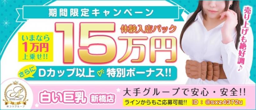 白い巨乳新橋店の求人