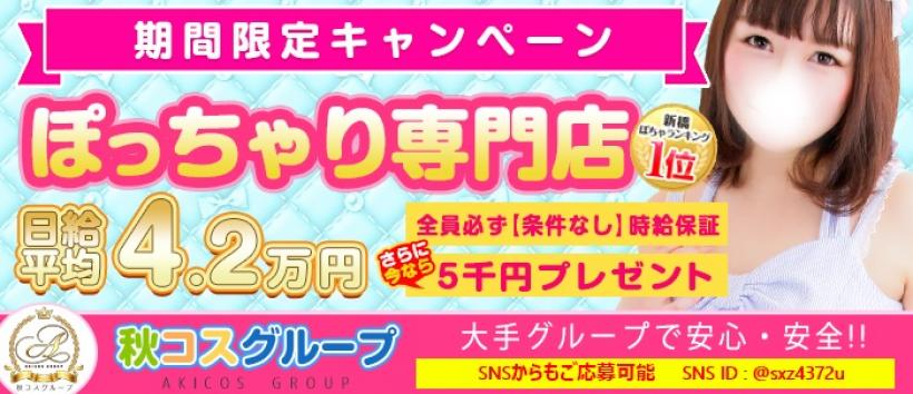 白いぽっちゃりさん新橋店