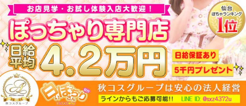 白いぽっちゃりさん仙台店