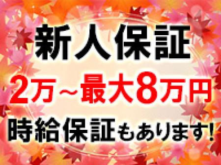 新人保証が充実