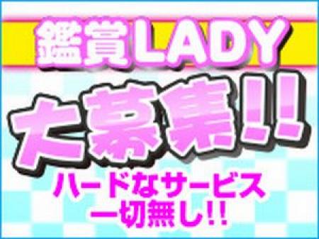 高収入の新たなスタイル、それが“観賞レディー”!