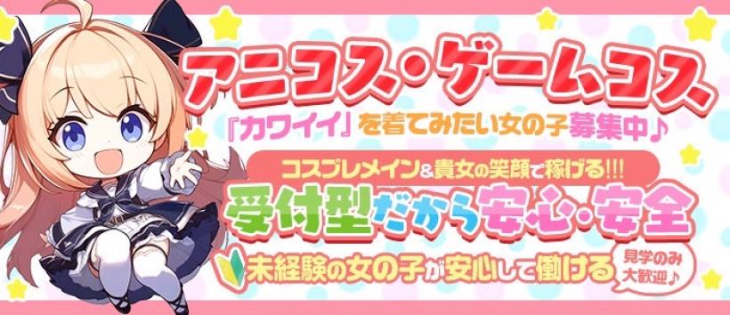 プリンセスレイヤーの求人