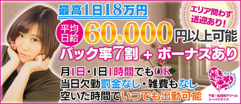 シーパラダイスの求人